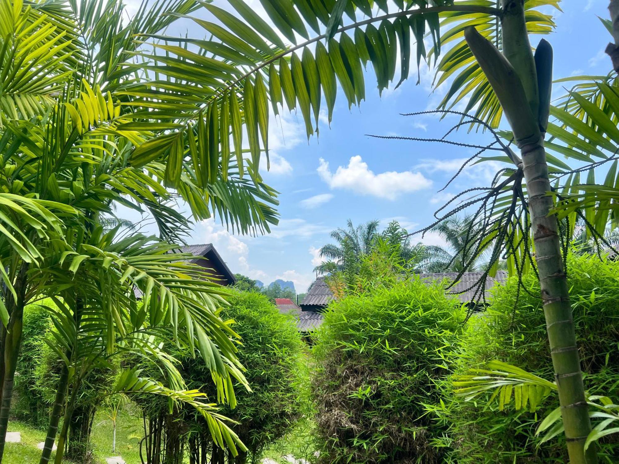 Palm Kiri Aonang Resort Ao Nang Eksteriør billede