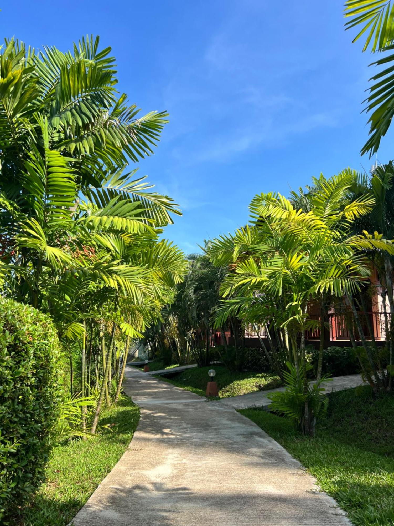 Palm Kiri Aonang Resort Ao Nang Eksteriør billede